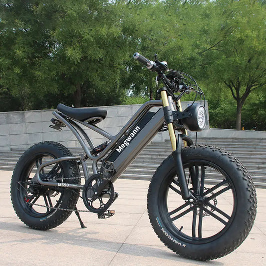 20-inch Racing Off-Road Bicycle for Adults